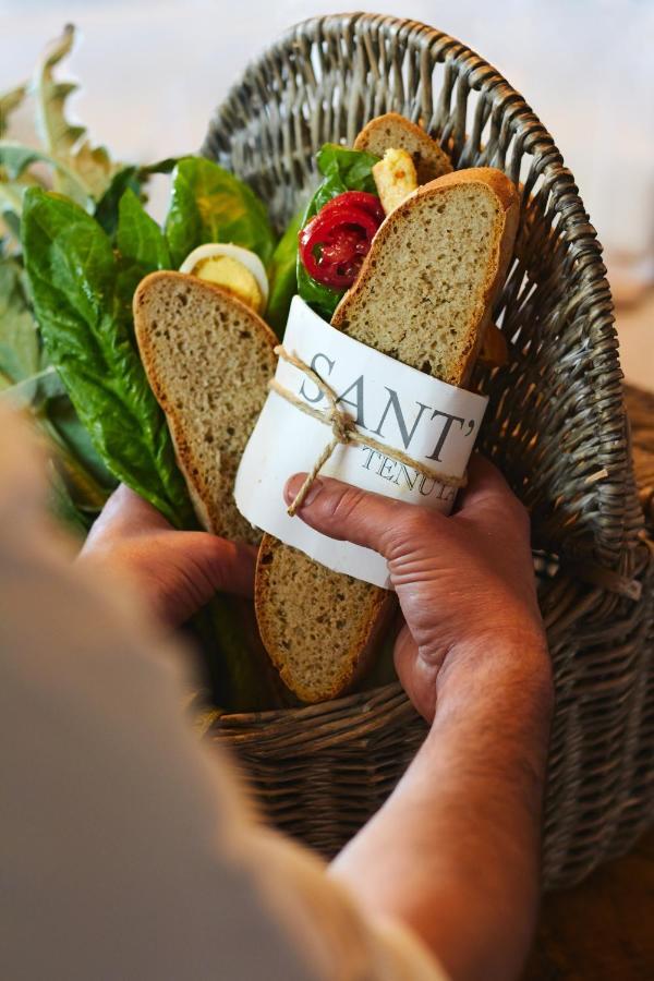 Relais Sant'elena Bed & Breakfast Bibbona
